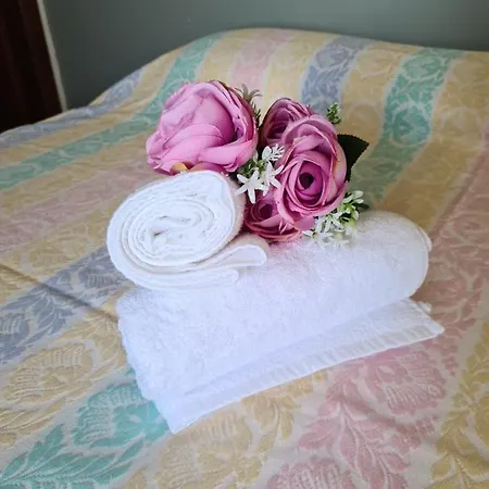 Alojamento de Acomodação e Pequeno-almoço Delle Rose Galatina