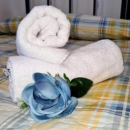 Alojamento de Acomodação e Pequeno-almoço Delle Rose